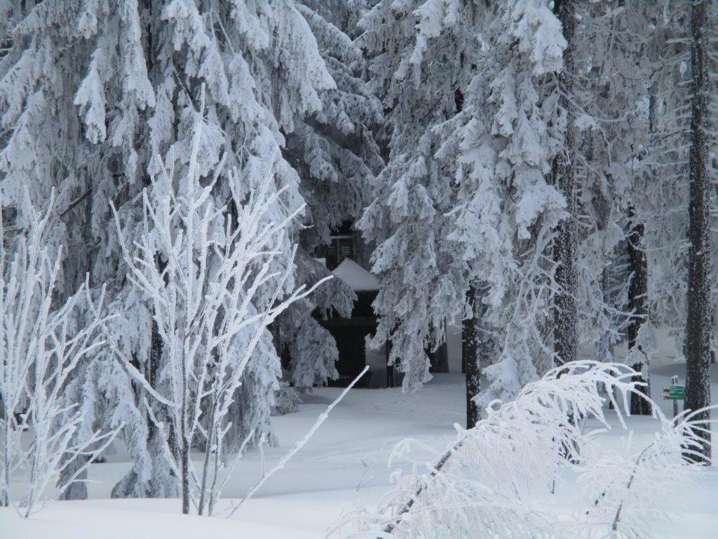 Ferienhaus Ederer Вальдмюнхен Экстерьер фото